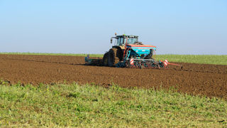 Les semis d'orge de printemps risquent d'être retardés cette année en raison des cumuls de pluies de janvier et février.